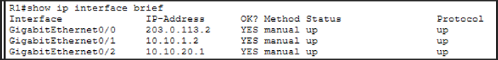 show ip interface brief R1