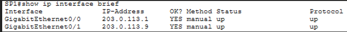 show ip interface brief SP1