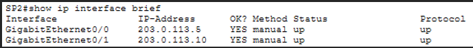 show ip interface brief SP2