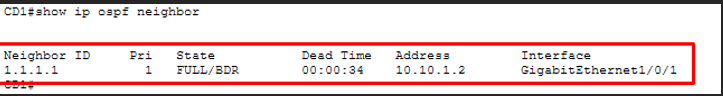 OSPF neighbor CD1
