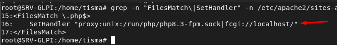 Configuration FileMatch SetHandler dans glpi-lab.conf