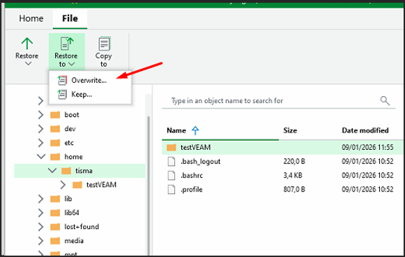 Veeam File Browser — dossier testVEAM visible dans /home/tisma