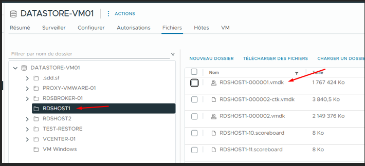 Datastore vCenter — RDSHOST1 vmdk corrompu